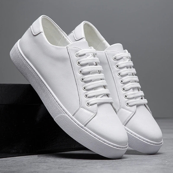 Baskets en cuir Ascend