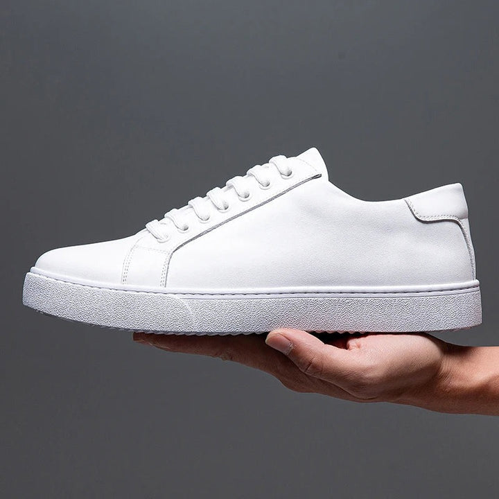 Baskets en cuir Ascend