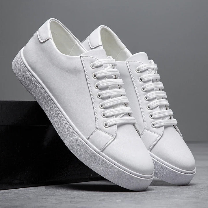 Baskets basses harrington
